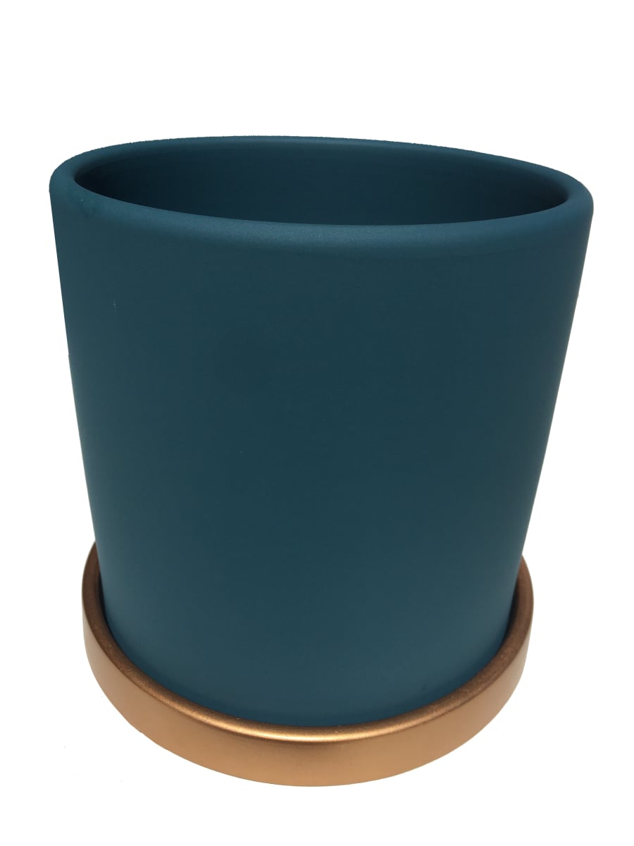 Maceteros Cilindro Con Plato Dorado Verde L7