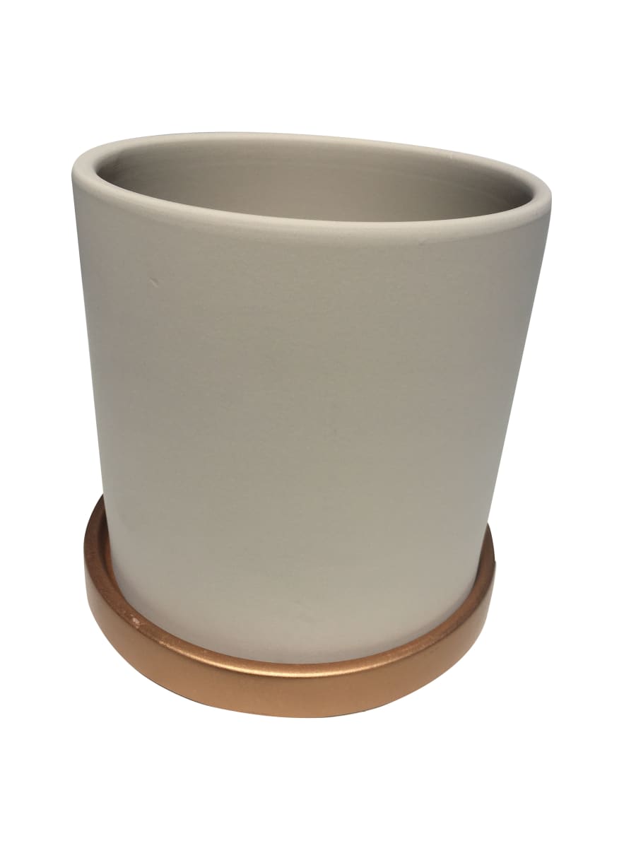 Maceteros Cilindro Con Plato Dorado Crema M7
