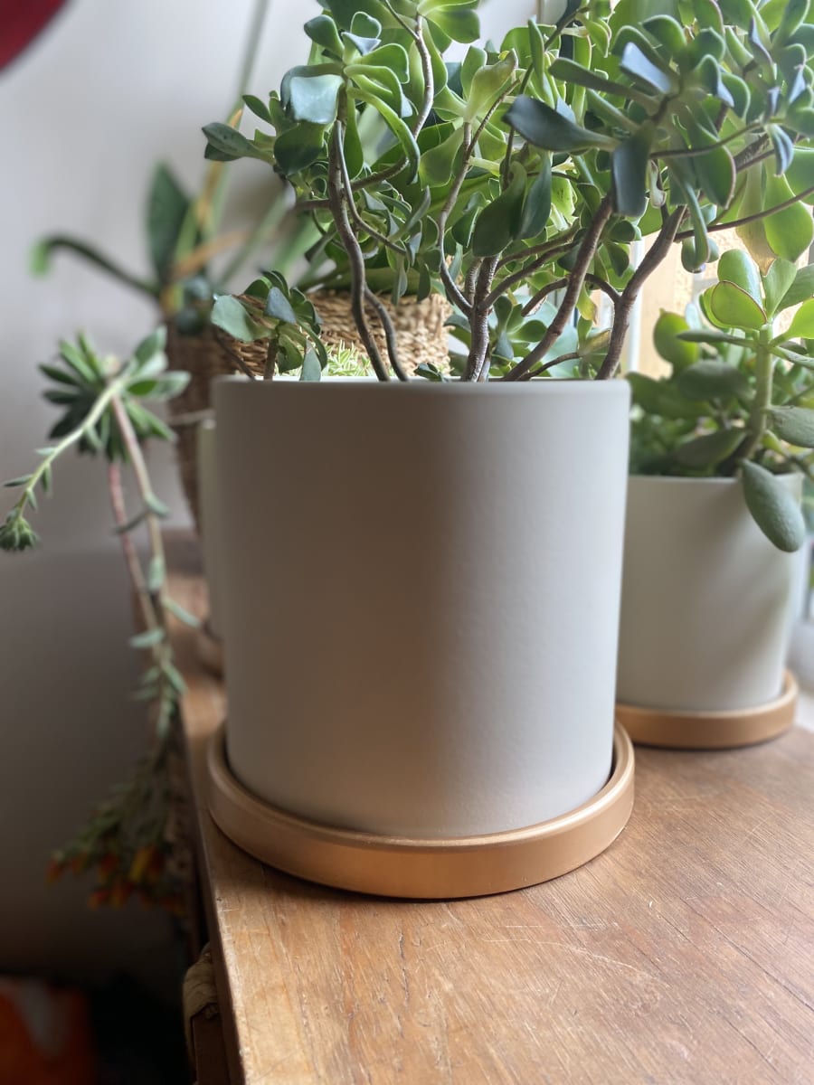 Maceteros Cilindro Con Plato Dorado Crema L5