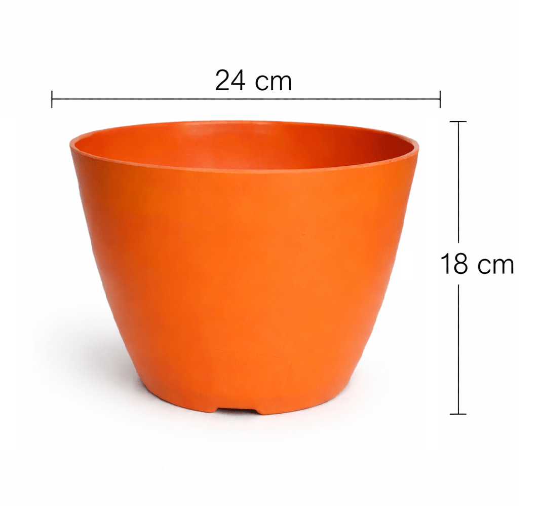 Set de Macetero con Plato Actual Terracota 24x24x18 cm7