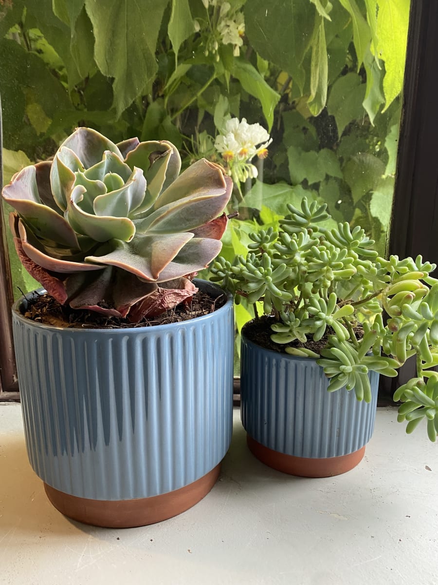 Macetero Enlozado Azul  17x154