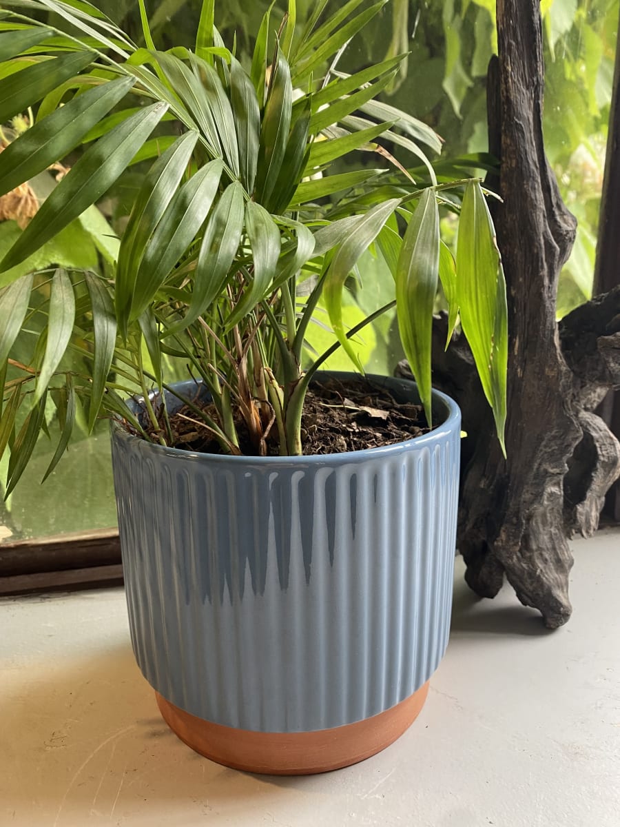 Macetero Enlozado Azul  14x123