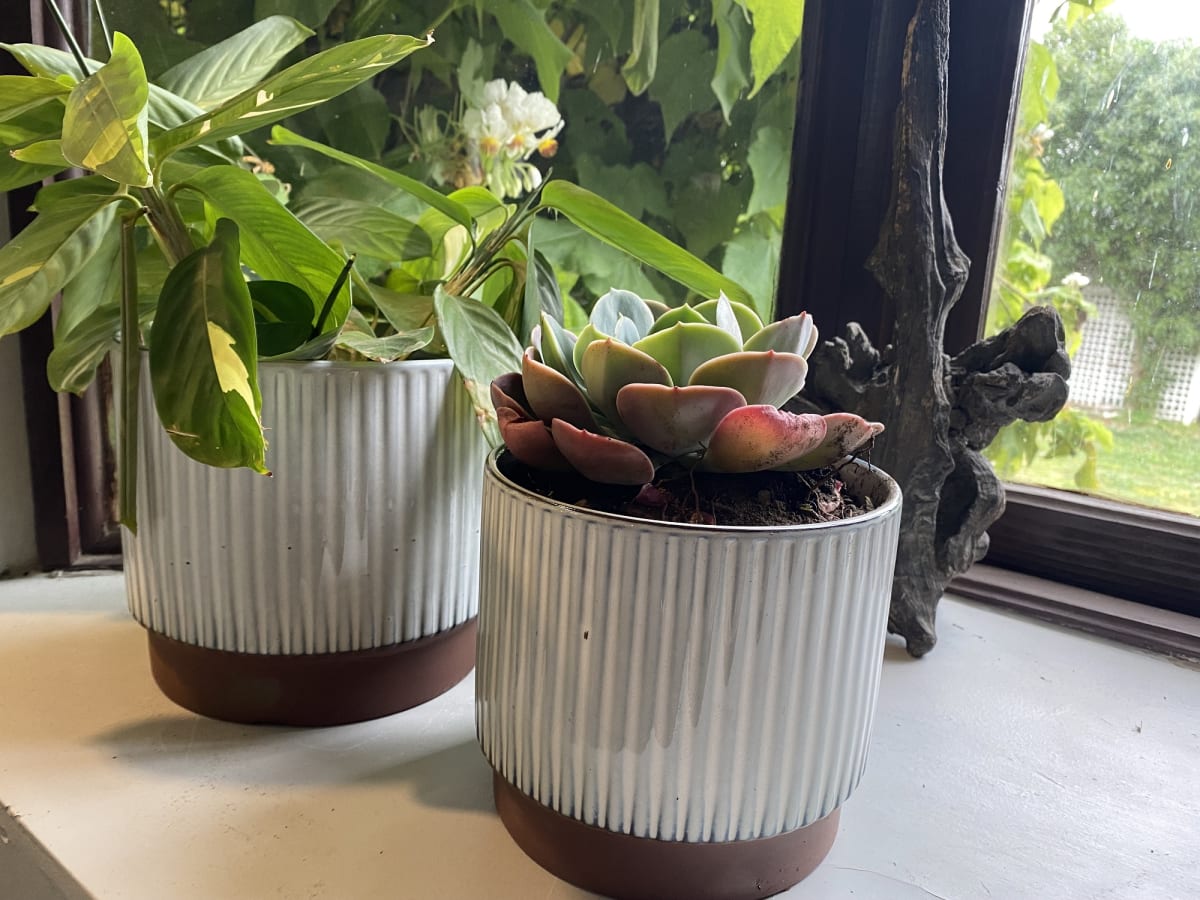 Macetero Enlozado Blanco  17x153