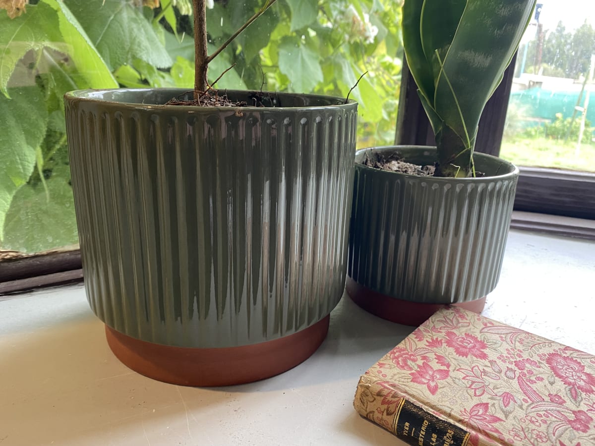 Macetero Enlozado Oliva  20x182