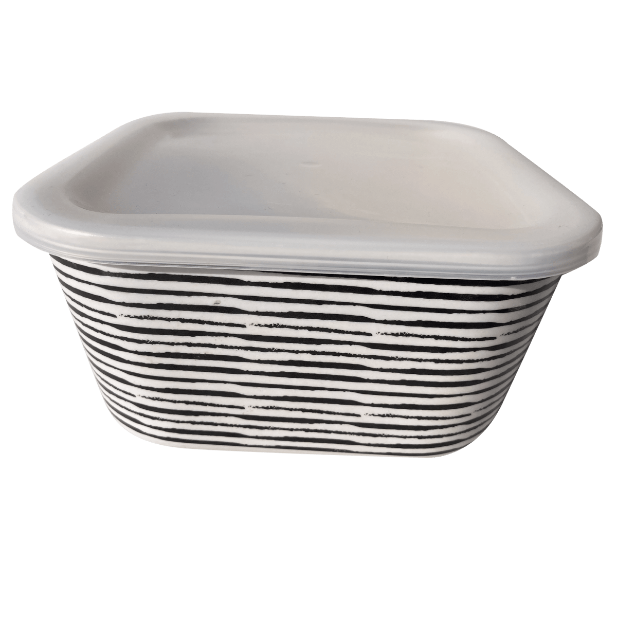 Contenedor Hermetico Bio Rayas 19X14X7 Cm2