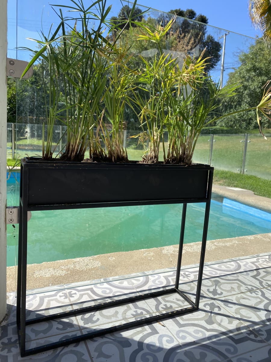 Jardinera Rectangular Metálica con Pedestal Negro 50,5x10x46 cm2