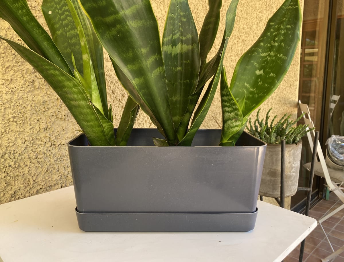 Jardinera Bio Grafito2