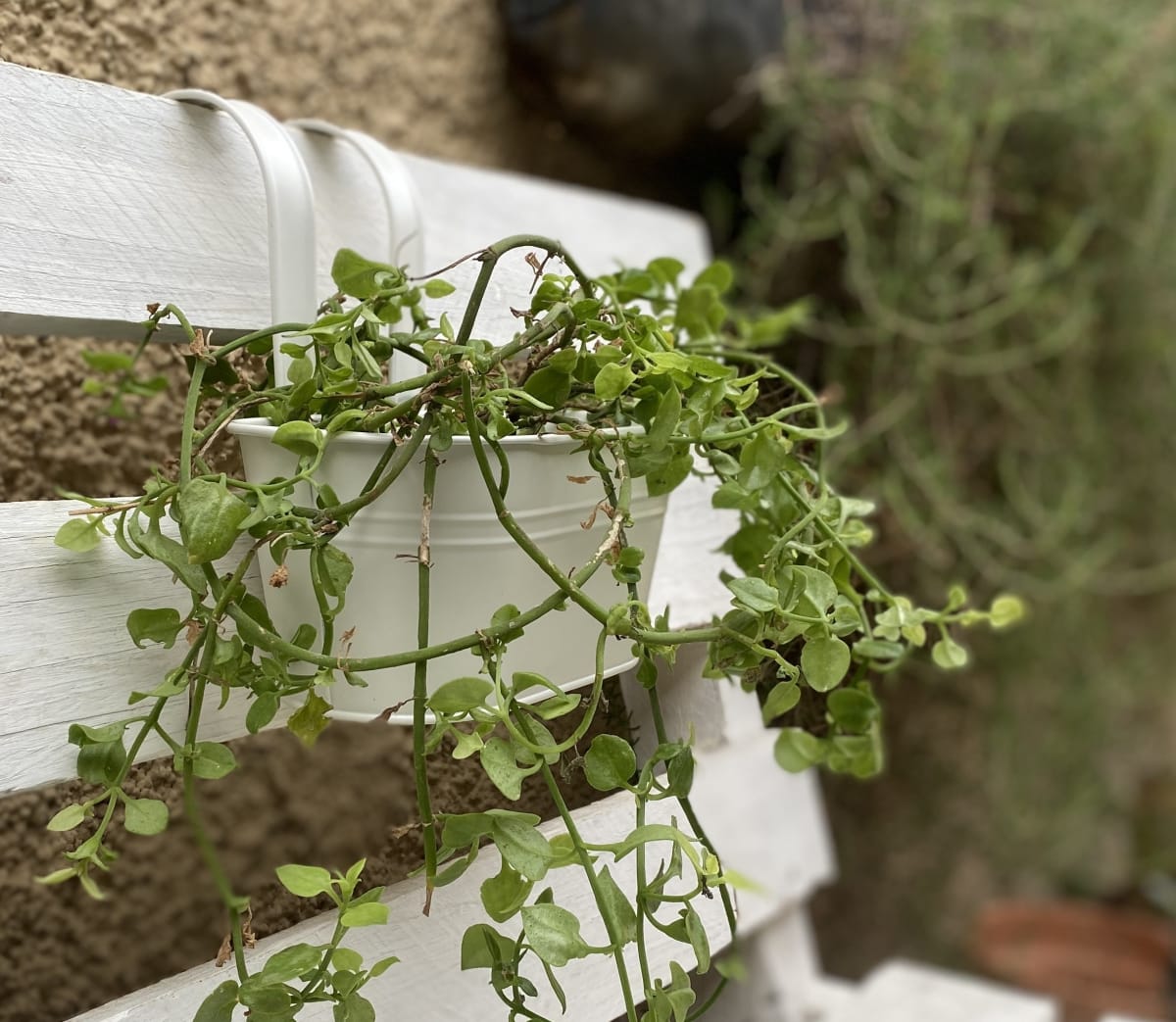 Colgante Doble Metalico Crema2