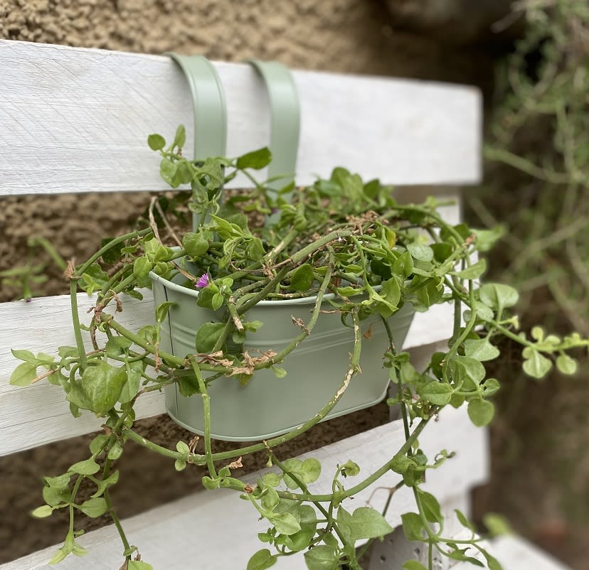 Colgante Doble Metalico Verde3