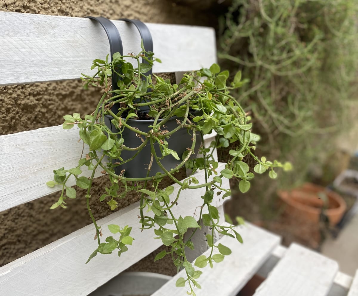 Colgante Doble Metalico Negro3