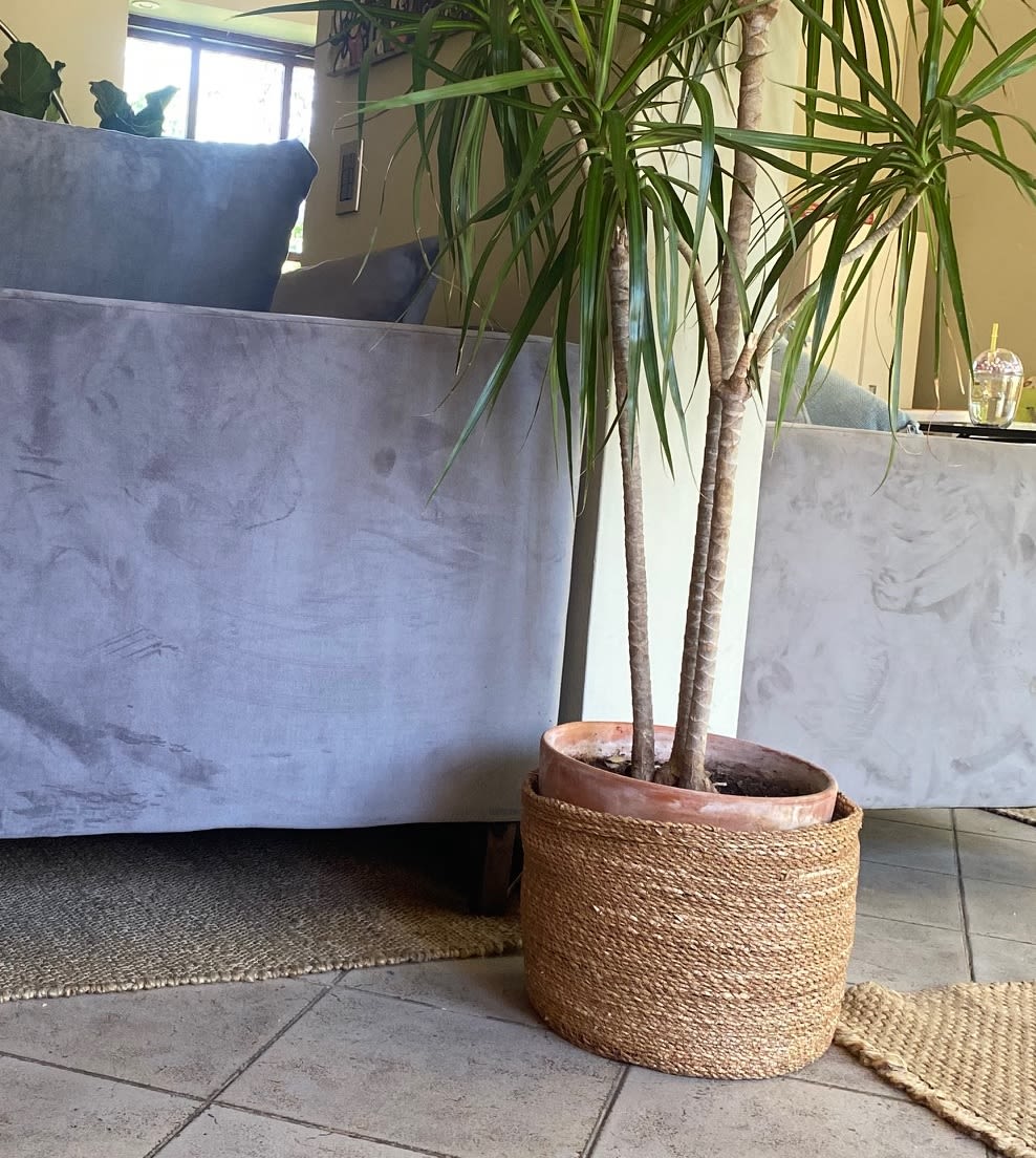 MACETERO CANASTO RAMA 35X30 L2