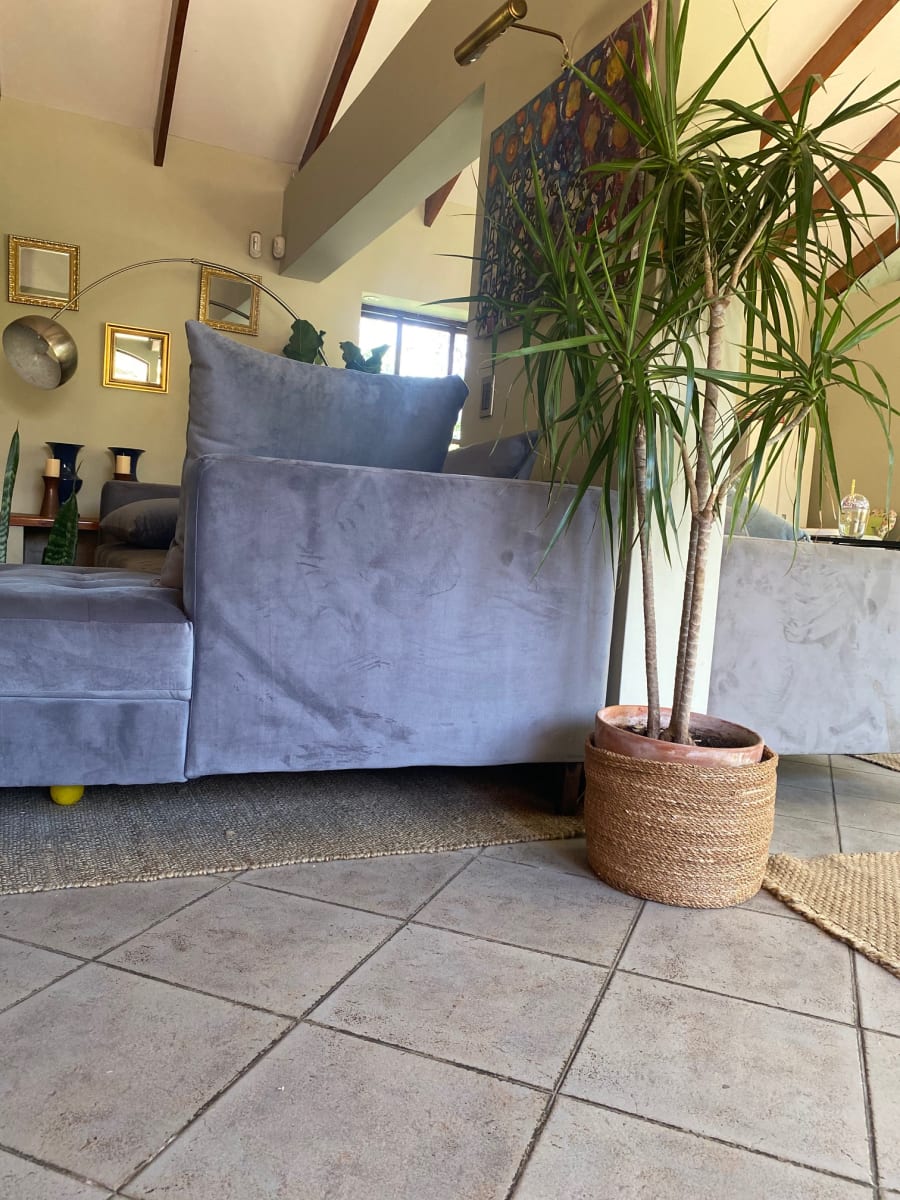 MACETERO CANASTO RAMA 35X30 L3