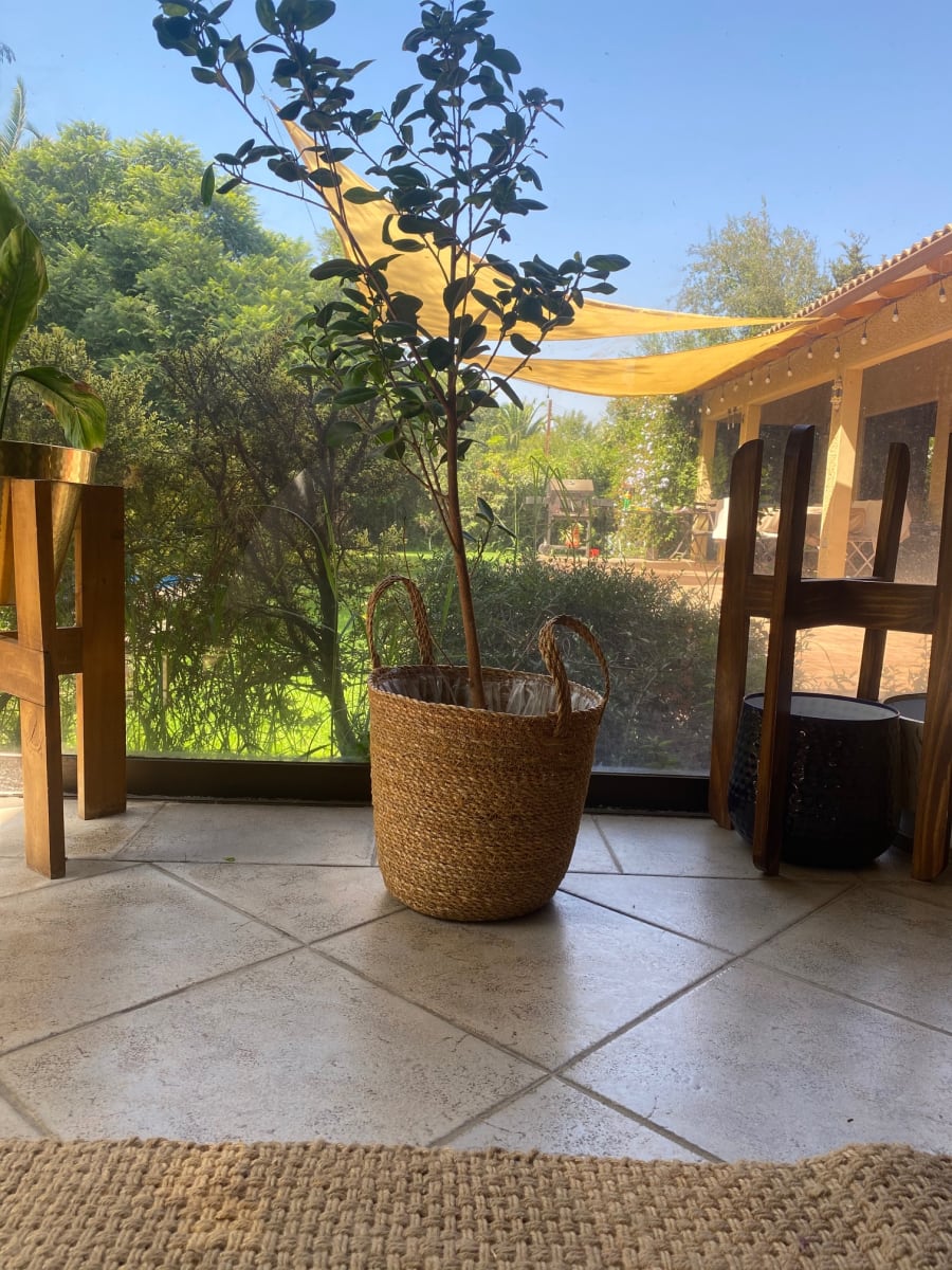 MACETERO CANASTO BRAHMA 33X28 M3