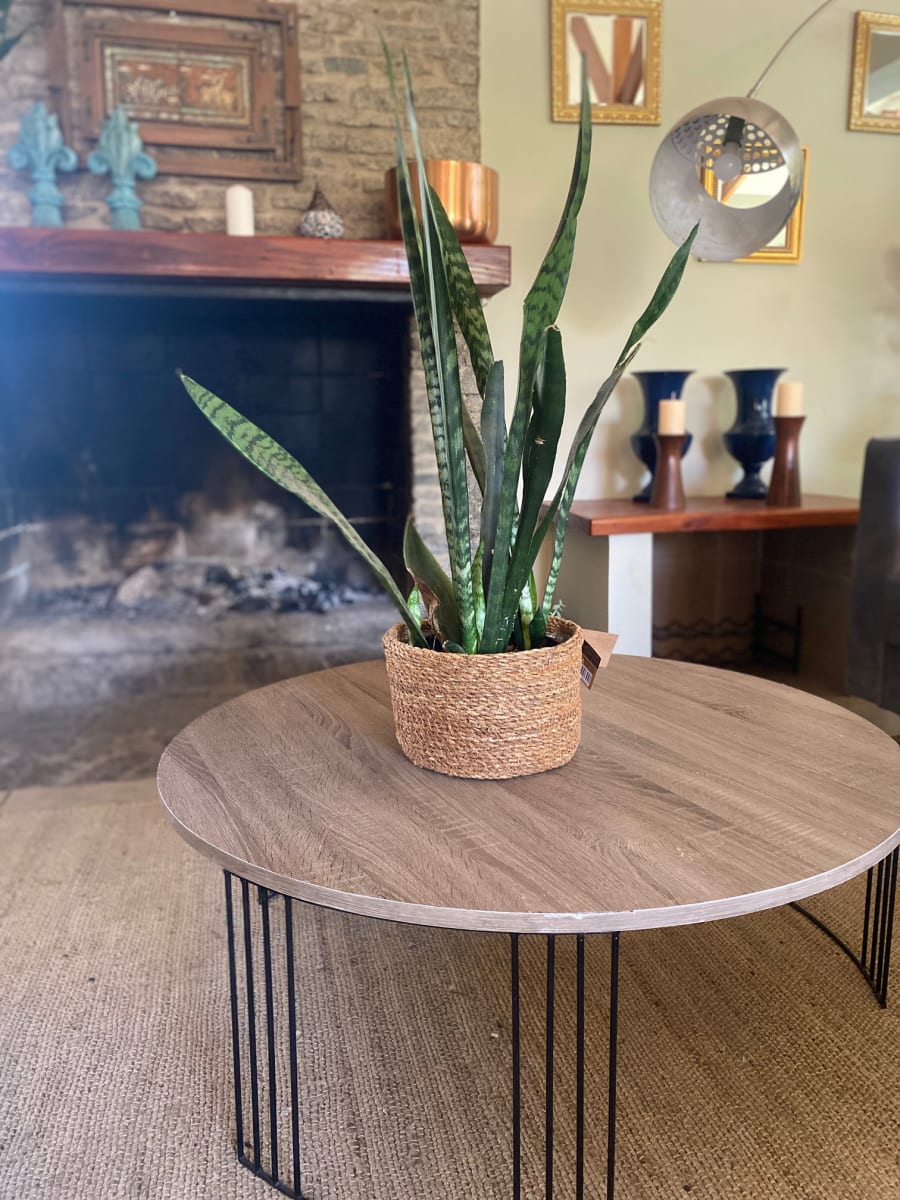 MACETERO CANASTO RAMA 25X20 S4