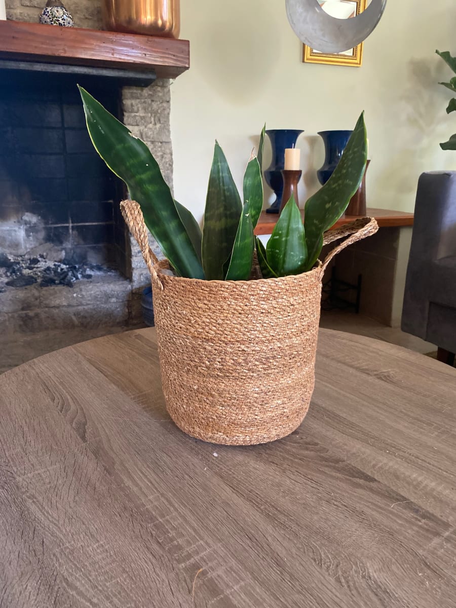 MACETERO CANASTO BRAHMA 28X26 S3