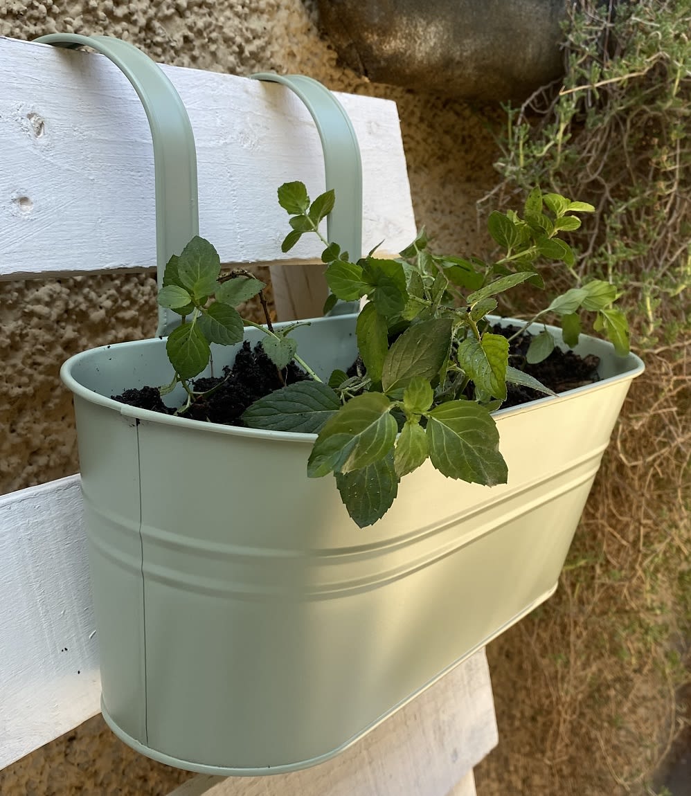 Colgante Doble Metalico XL Verde3