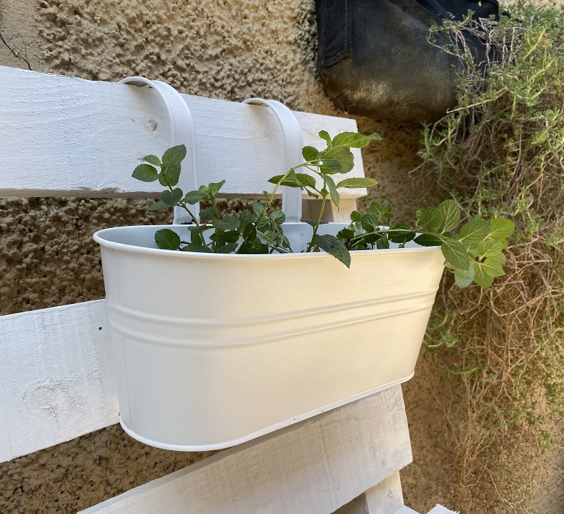 Colgante Doble Metalico XL Crema2