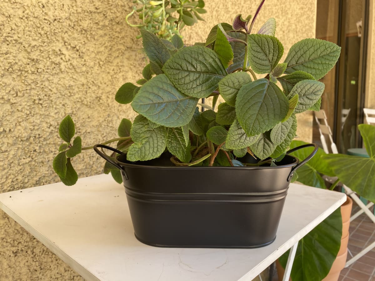 Macetero Metalico Asa L Negro1