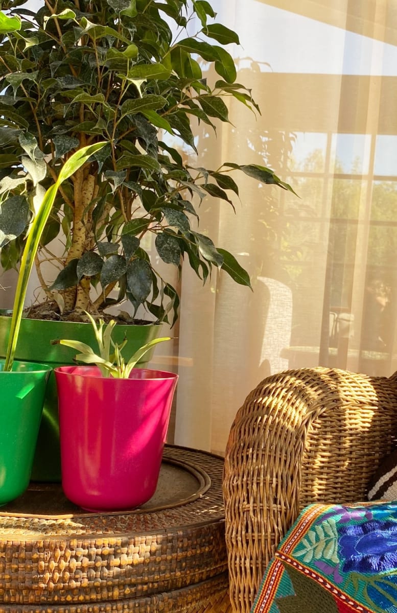 Set 7 Maceteros Bios Flores 4 Negros, 3 Purpuras 13x13x14,5 cm4