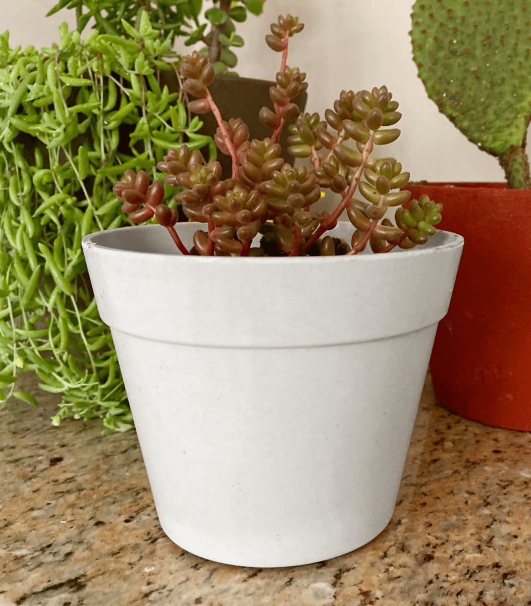 Set De 2 Macetero Bio Bamboo Redondo Blanco 13,7x13,7x10 cm2