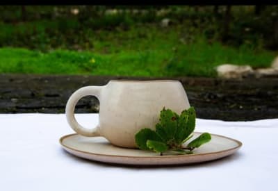 TAZA ALCOA