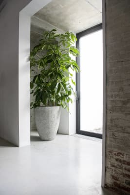 MACETA BERND IMPERIAL WHITE1