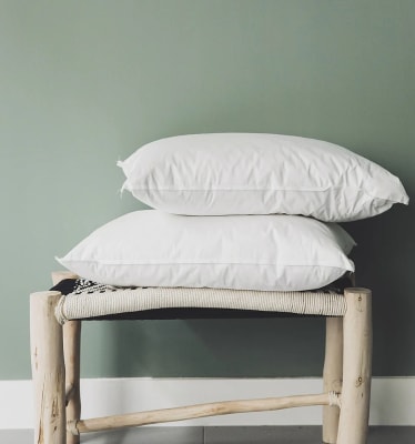 RELLENO COJIN PLUMA 35X451