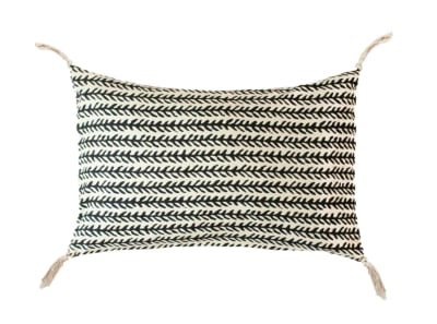 COJIN EPINE CARBONE1