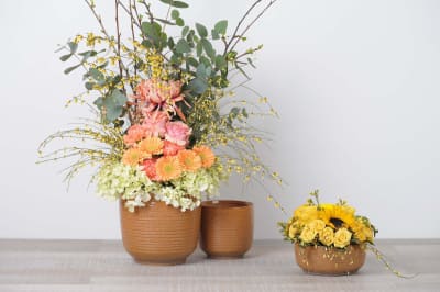 MACETA FALESIA TERRA1