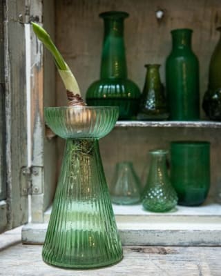 FLORERO HYACINTH VERDE