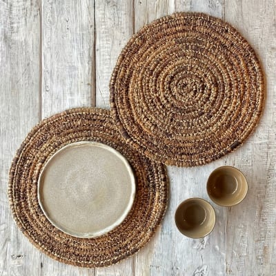 INDIVIDUAL CENTIPEDE1