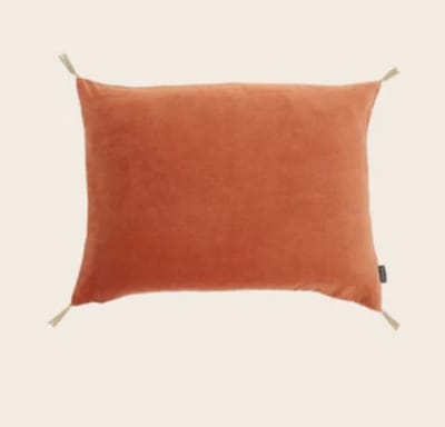 FUNDA VELOURS ROOIBOS 40X55