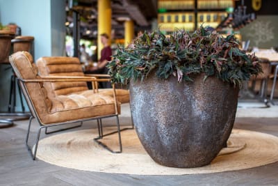 MACETA JESSLYN IMPERIAL BROWN2