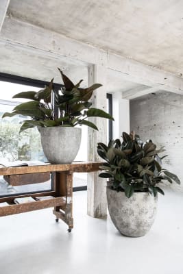 MACETA JESSLYN IMPERIAL WHITE3