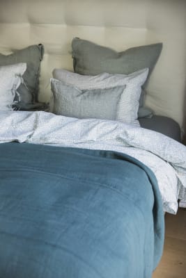 MANTA MAHOA COLVERT1