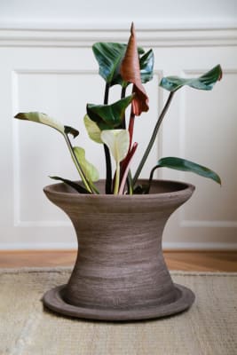 MESA CELESTE