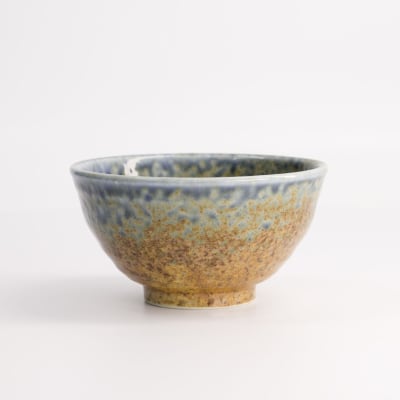 BOWL MINOYAKI ARROZ