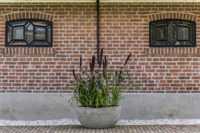 MACETA MT HUNTER DIORET1