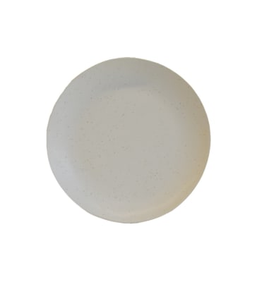 PLATO PRINCIPAL