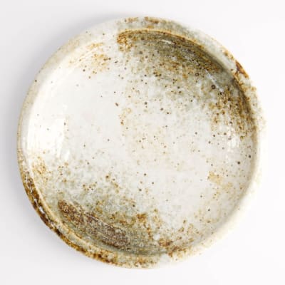 PLATO YUKISHINO