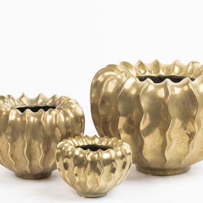 FLORERO PUMPKIN GOLD