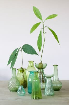 UNIFLOR VERDE