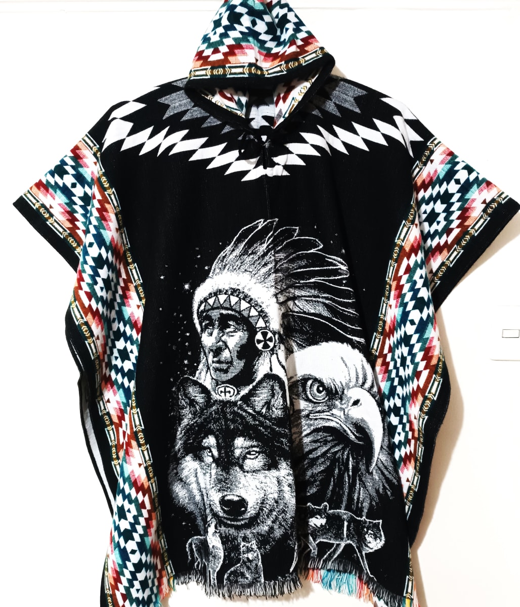 PONCHO EL INDIO Y SUS ANIMALES1