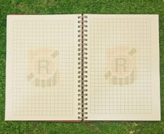 AGENDA RANGERS