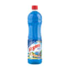 Limpiador Virginia Rapa Nui 900ML1