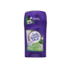Desodorante Barra Lady Speed Stick Orchard Blossom1