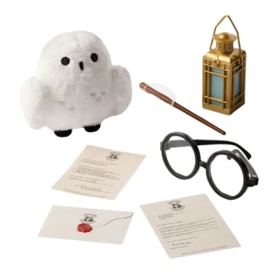 Harry Potter Hedwig y Accesorios de Mago Set de Juego1