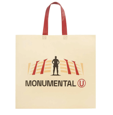 Bolsa Reutilizable Universitario de Deportes  39 x 44 x 18 cm1