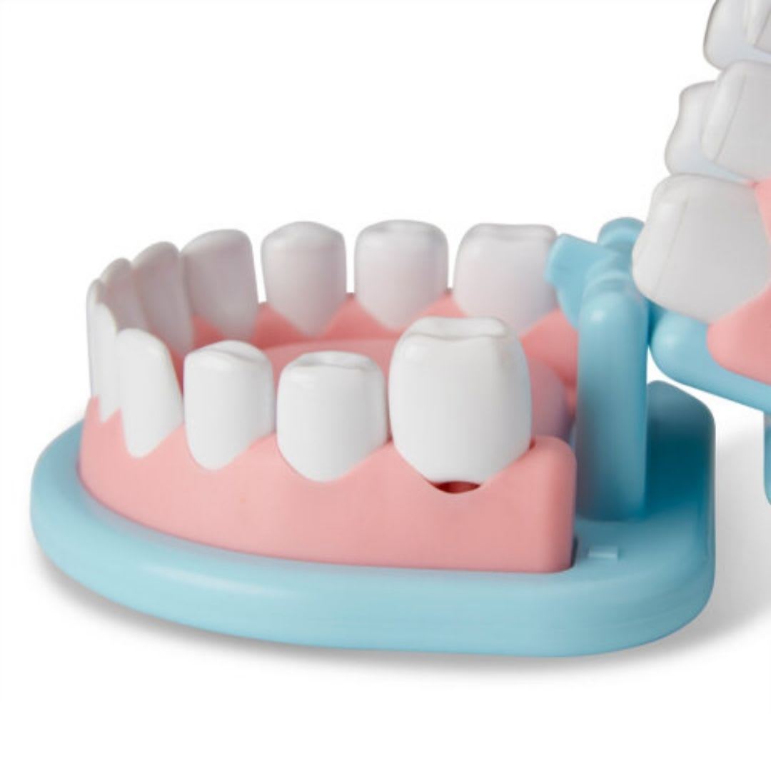 Set Dentista Infantil Didactico Melissa & Doug4