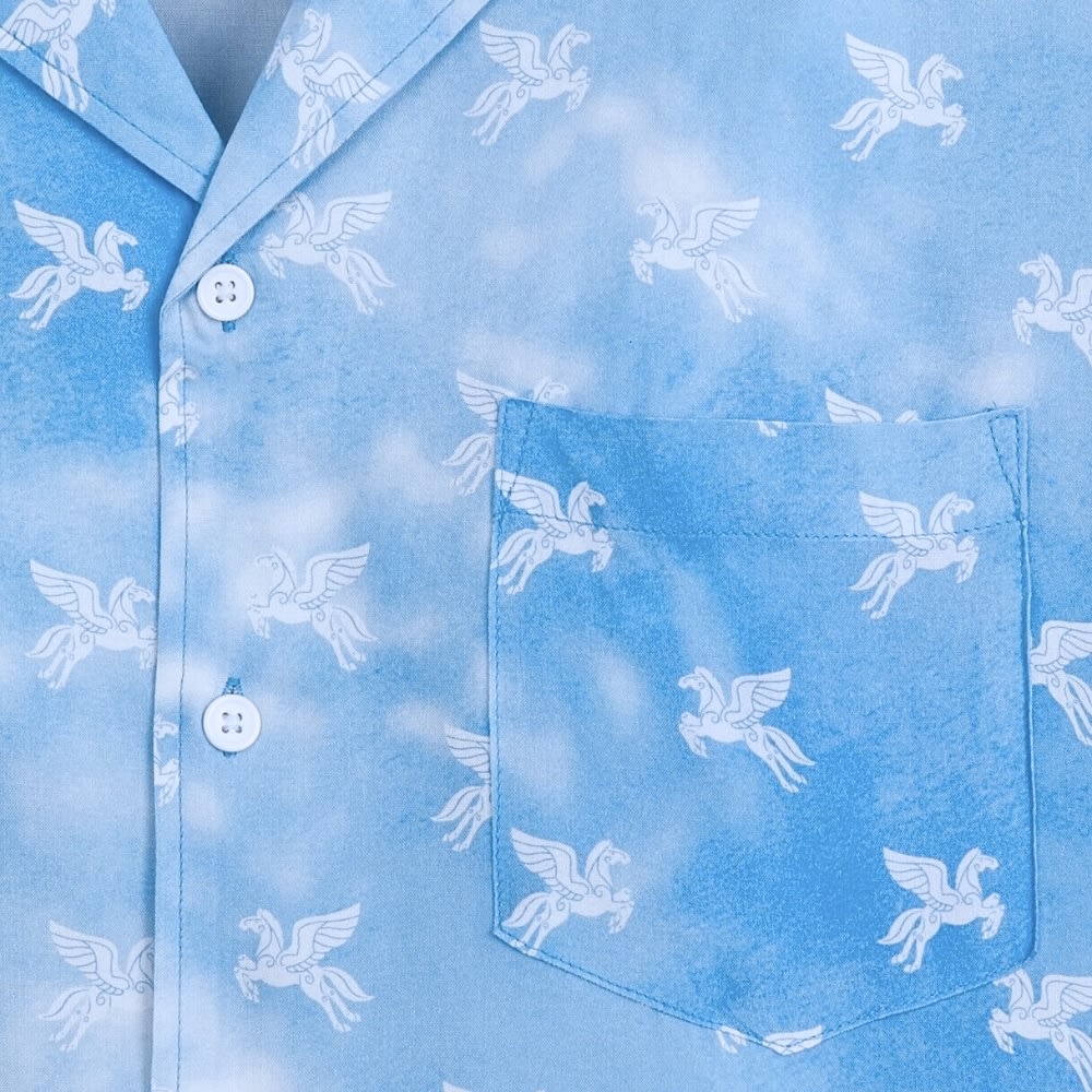 Camisa de Adulto Hércules2